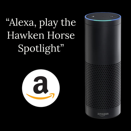 Amazon Spotlight