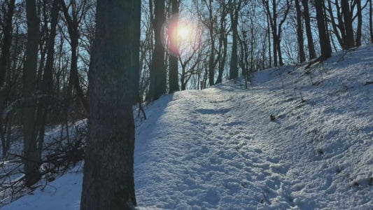 What Don't Kill Ya Makes You Aliver